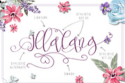 Pertiwi, a Script Font by Fontdation (Thumbnail 4 of 4)