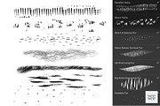 Procreate Fur 45 Brush Pack, a Brush Add-On by CC CREATIVE CO (Thumbnail 10 of 12)