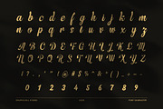Dafensa Melisa Script Font, a Script Font by Graphicxell (Thumbnail 7 of 8)