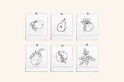 Fruit Garden Vector Illustrations, a Decorative Illustration by Emma Webb Studio (Thumbnail 6 of 7)