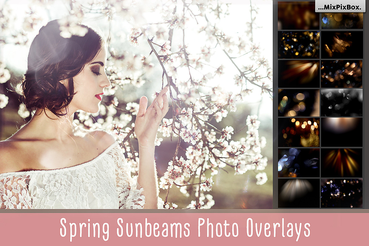 Spring Sunbeams Photo Overlays preview 6