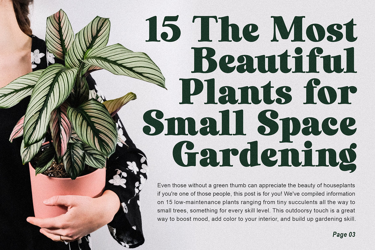 Laurens Soft Serif Display Font, a Serif Font by Letteralle Studios (Photo 7 of 10)