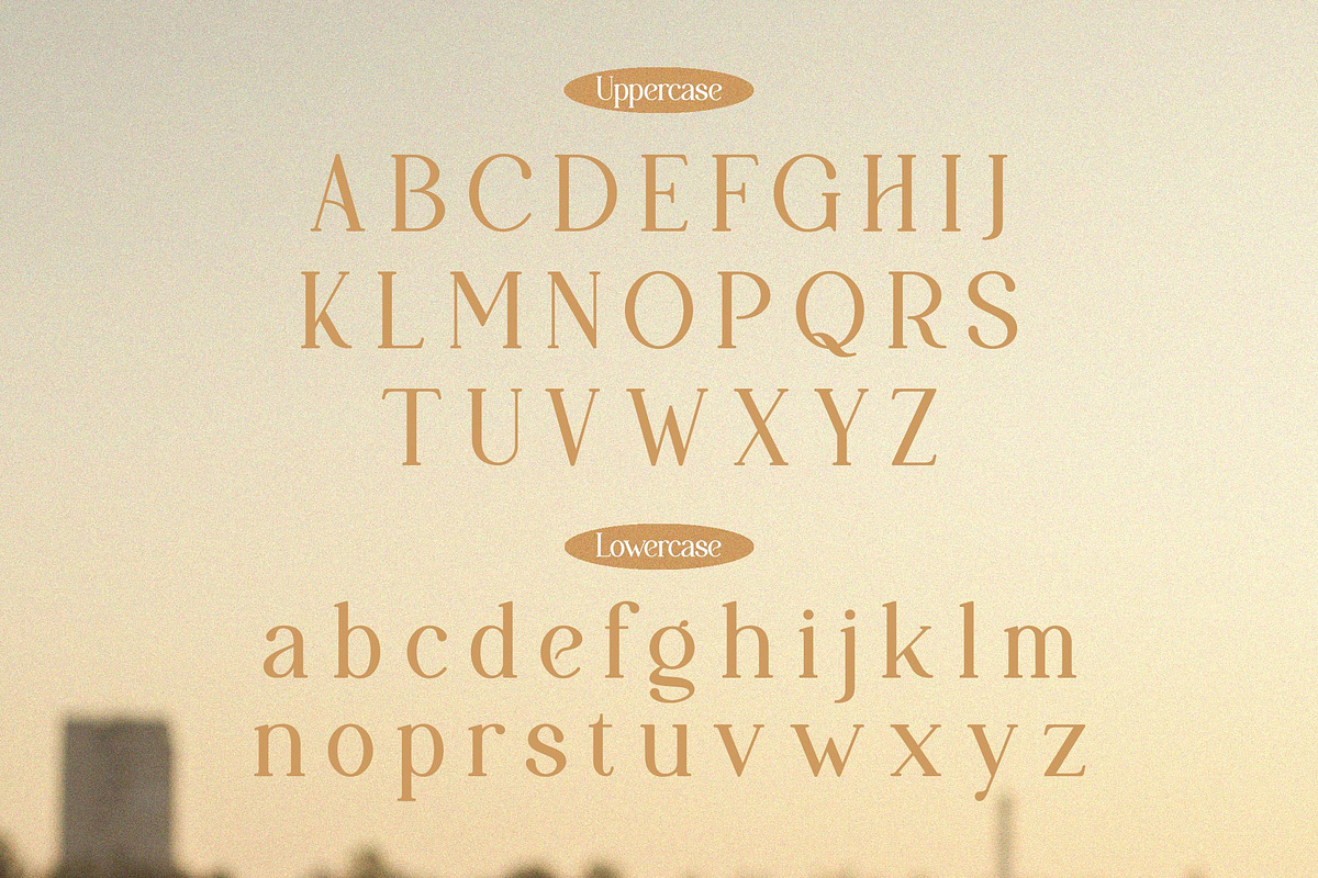 Papolina | Modern Serif Font, a Serif Font by Denustudios (Photo 10 of 13)