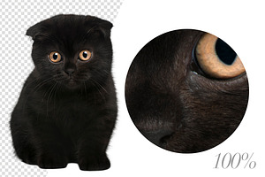 20 Black Cats - Cut-out Pictures