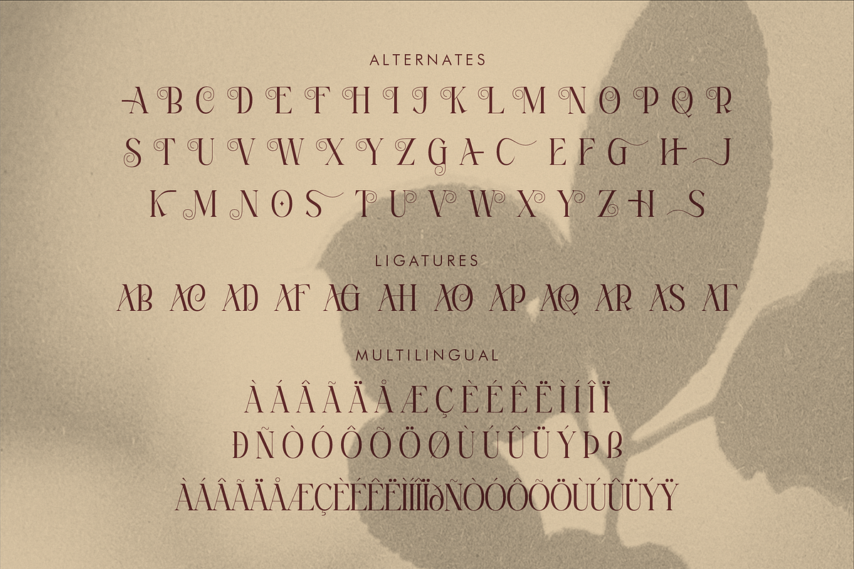 Magfire Hyena Modern Serif Font, a Serif Font by Storytype Studio (Photo 14 of 15)
