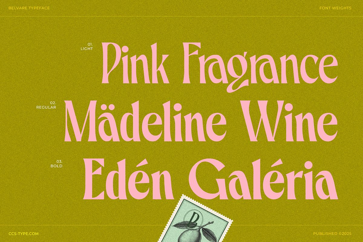 Belvare - Retro Aesthetic Serif, a Serif Font by CCS Type (Photo 11 of 22)