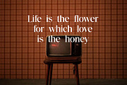 Venora Rosalind Elegant Serif Font, a Serif Font by UICreative (Thumbnail 9 of 13)