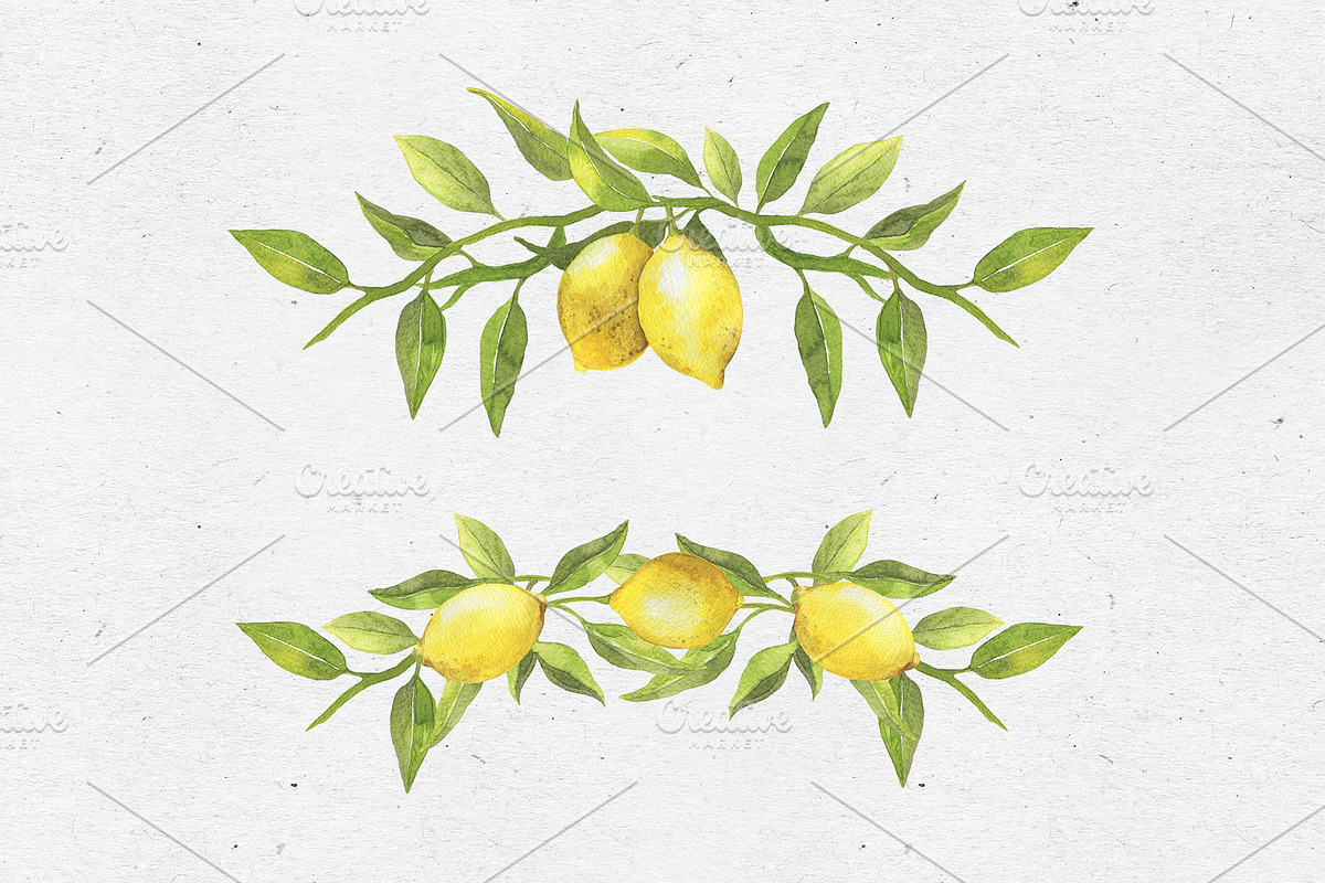 Lovely Lemons. Watercolor collection, a Decorative Illustration by Maria's little shop (Photo 5 of 10)