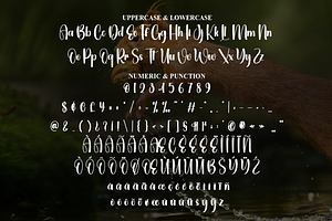 Animal Script Font