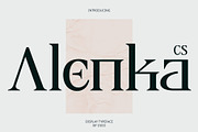 CS Alenka – Classic Font, a Serif Font by Craft Supply Co. (Thumbnail 1 of 8)