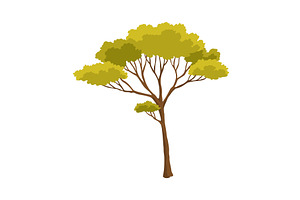Tree. Eco concept of nature plant, an Object Illustration by the8monkey