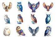 Watercolor Celestial Owl Clipart, an Illustration by Design Market (Thumbnail 2 of 3)