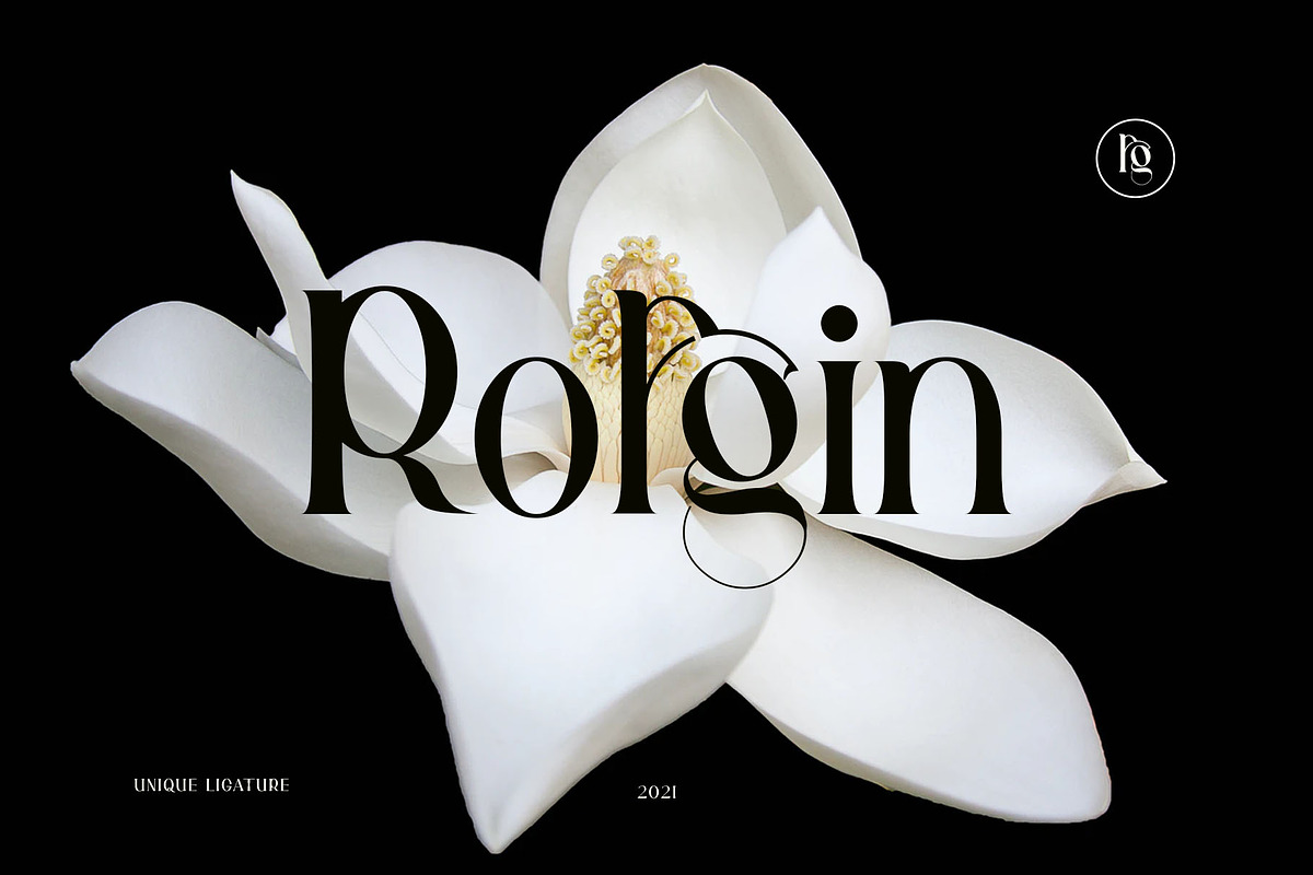 Gallies Ligature Serif Typeface, a Serif Font by Humaira_std (Photo 3 of 9)