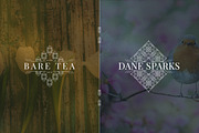 [Spring Vibes] 40 Mosaic Logos -50%, a Branding & Logo Template by VP Fonts (Thumbnail 4 of 27)
