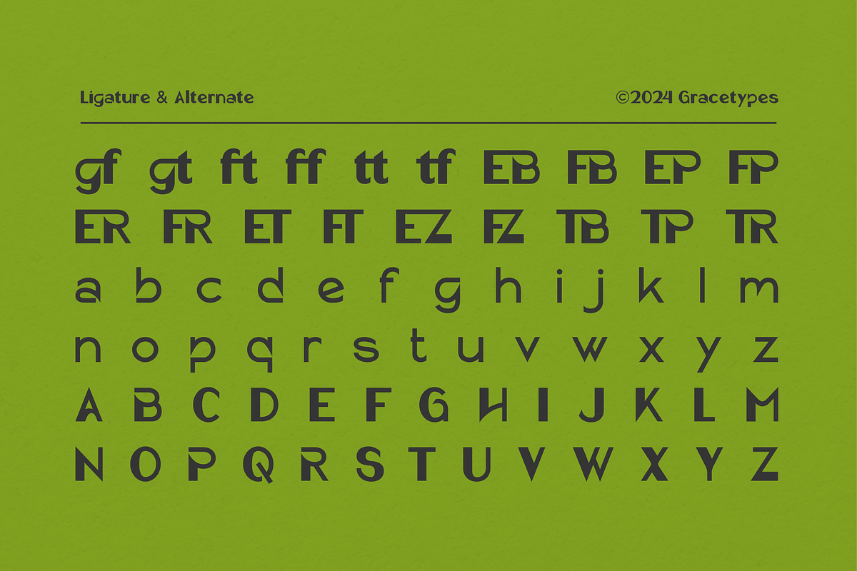 Picky Fredy | Display Typeface, a Sans Serif Font by gracetype_studio (Photo 11 of 12)