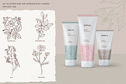 Skin Care Botanicals | 30 designs, a Healthcare Illustration by amber&ink (Thumbnail 6 of 9)