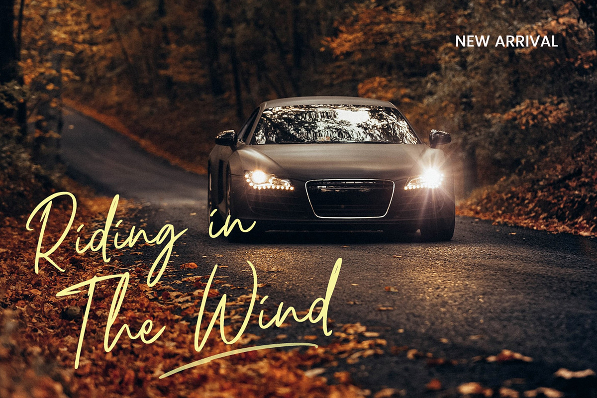 Riccardy Signature Font, a Handwritten Font by Art StoreID (Photo 3 of 15)