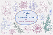 Winter & Christmas Plants,Procreate, a Brush Add-On by Sense Library (Thumbnail 1 of 11)