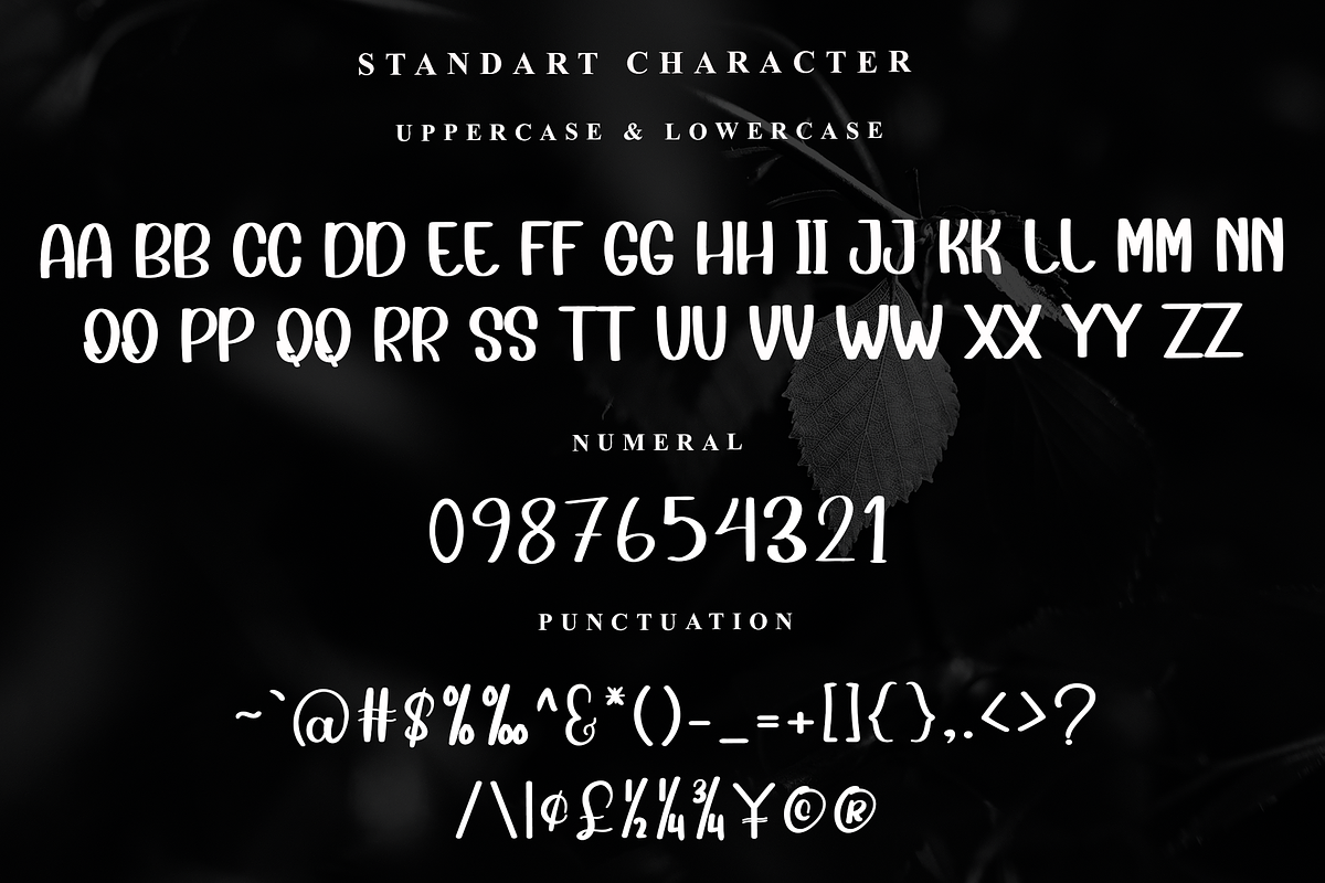 Chubby, a Serif Font by InermediaSTUDIO (Photo 7 of 7)