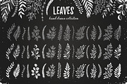 Leaves sketch style set, an Object Graphic by Olly Molly (Thumbnail 3 of 4)