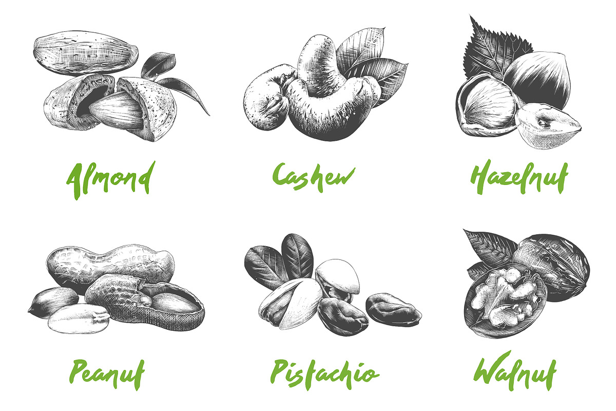 Set of 44 organic food objects, a Decorative Illustration by Akimo Mia (Photo 2 of 10)