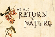 Jean Splice, a Serif Font by Cool Fonts (Thumbnail 2 of 7)