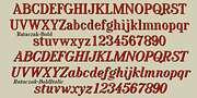 Rataczak, a Serif Font by Ingrimayne Type (Thumbnail 9 of 10)