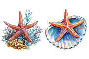 Starfish Watercolor Clipart Bundle, an Illustration by Pixels.Craft (Thumbnail 8 of 8)