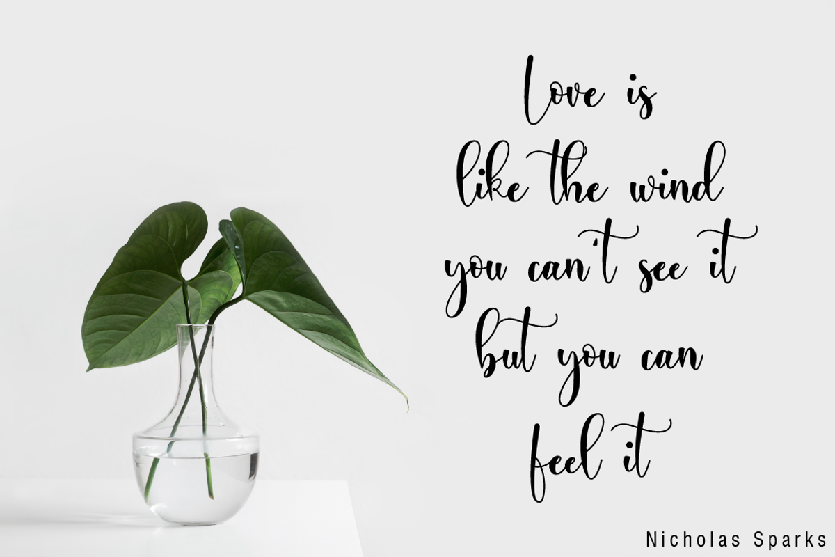 Ayalda Script, a Script Font by Nissa Studio (Photo 9 of 12)