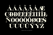 Kwong Display font, a Serif Font by maybefont (Thumbnail 3 of 11)