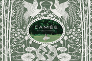 Camee - Ornamental Papercut Frames, an Object Graphic by alonahaidash (Thumbnail 3 of 18)