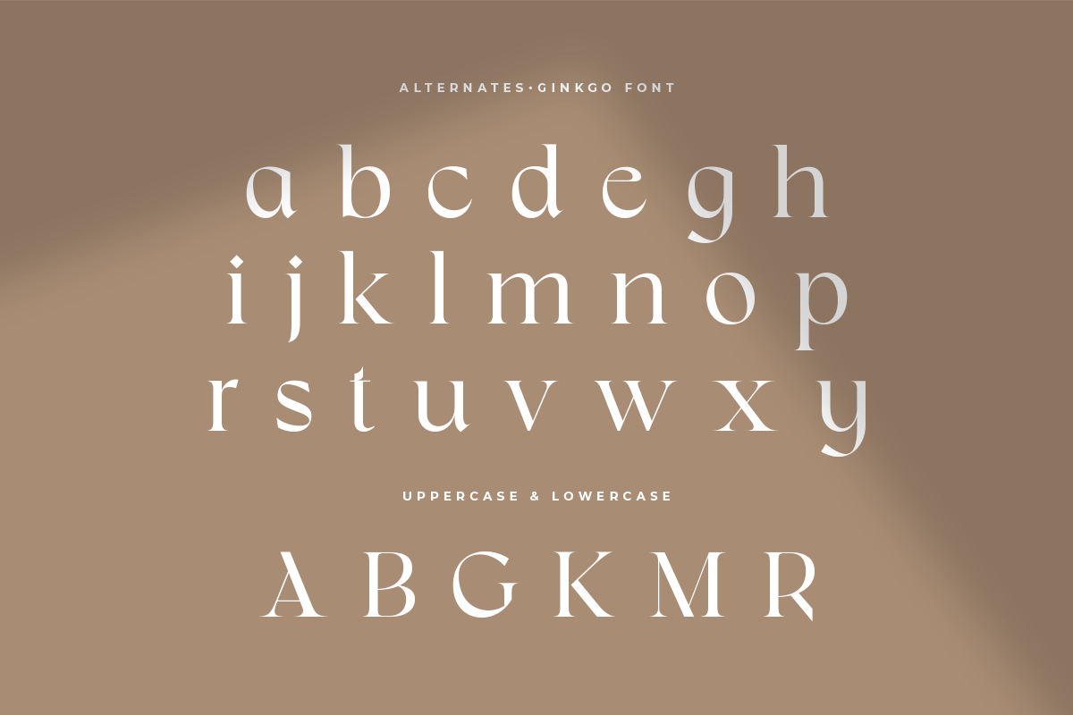 Ginkgo - Modern Classy Serif Font, a Serif Font by Sensatype (Photo 14 of 20)