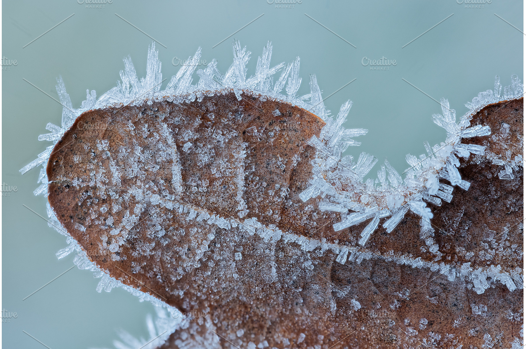 Frost Ice Crystals Formed on Winter, a Background Photo by Lukas Jonaitis SHOP