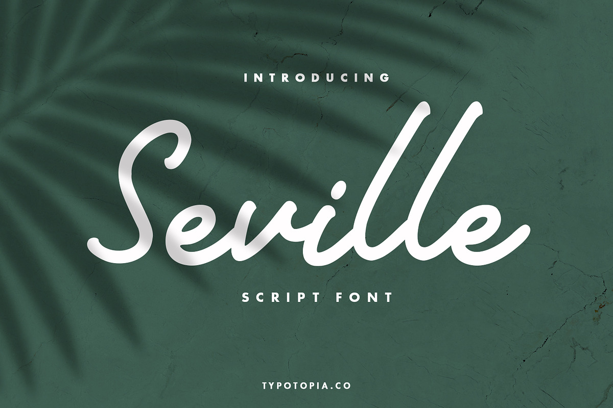 Seville, a Script Font by edukka (Photo 1 of 10)