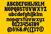 Dirty Novel Fancy Font, a Serif Font by GroovyFontCo (Thumbnail 8 of 8)
