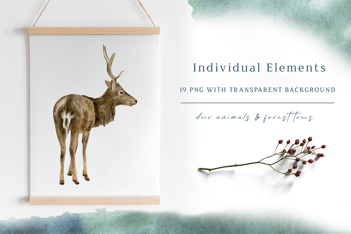 Winter Deer Watercolor Collection, an Animal Illustration by Olya Haifisch (Photo 3 of 9)