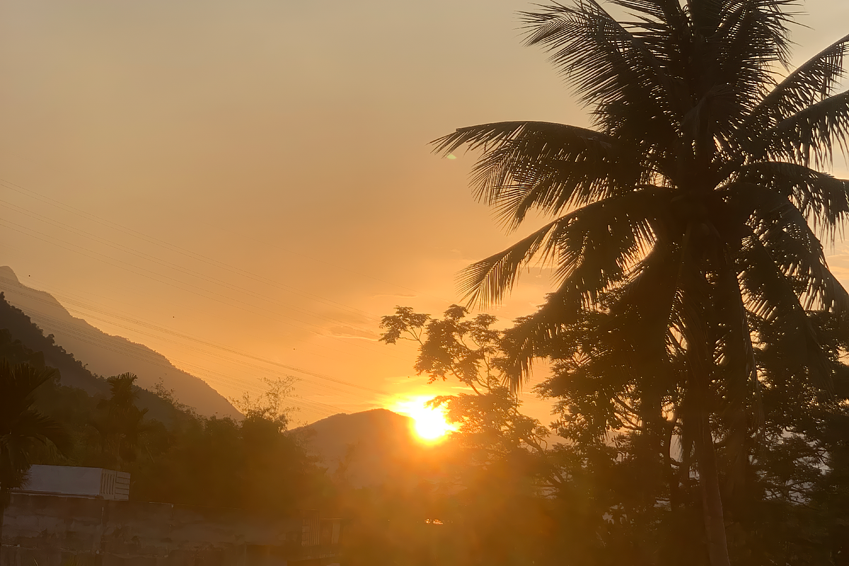 Evening Sunlight Over Tropical Trees, a Nature Photo by 3D assets for your awesom (Photo 3 of 3)