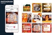 Autumn Instagram Animated Template, a Social Media Template by Brandspark Mini (Thumbnail 1 of 2)