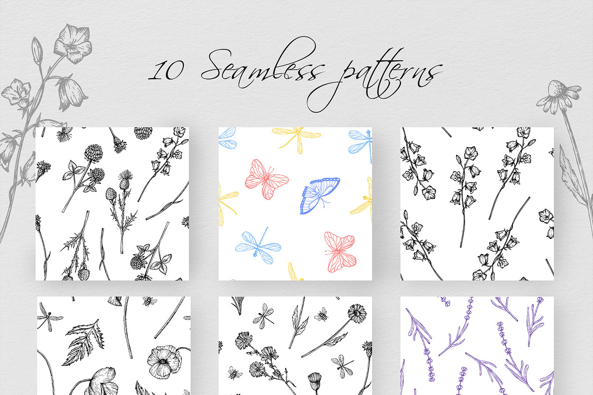 WILDFLOWERS Hand-drawn Line Art, a Seasonal Illustration by Navenzeles (Photo 9 of 13)