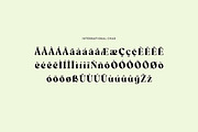 Wainscoted Modern Serif Font, a Serif Font by UICreative (Thumbnail 10 of 12)