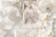 Ethereal Floral Backgrounds Bundle, an Abstract Photo by Allure Art (Thumbnail 5 of 26)