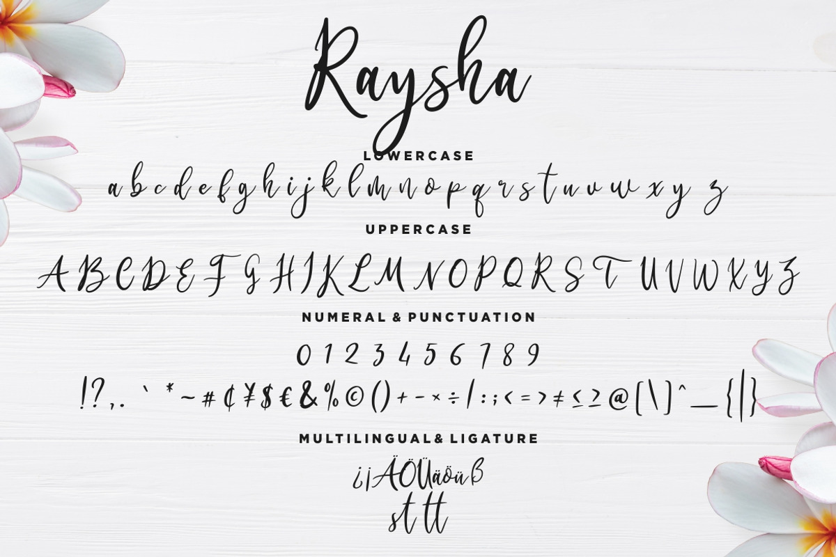 Raysha Signature Wedding Font preview 7