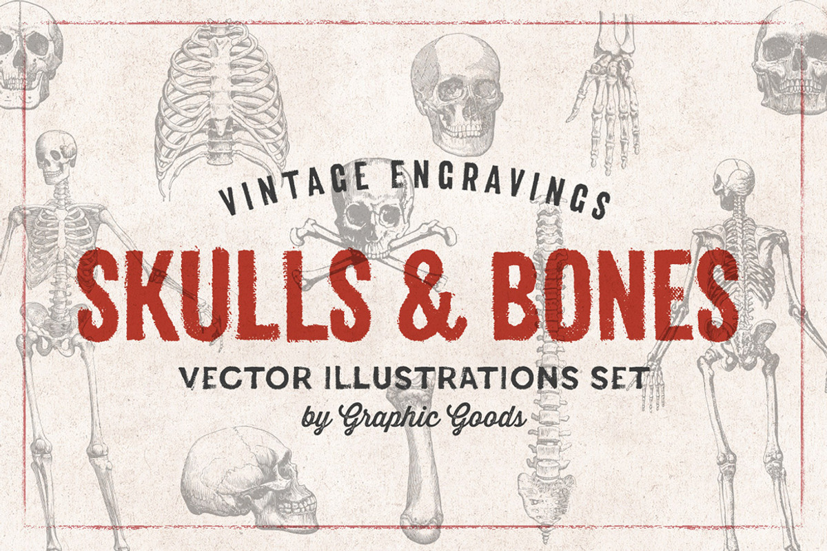 11 Skulls & Bones Illustration Set, an Illustration by Graphic Goods (Photo 1 of 4)