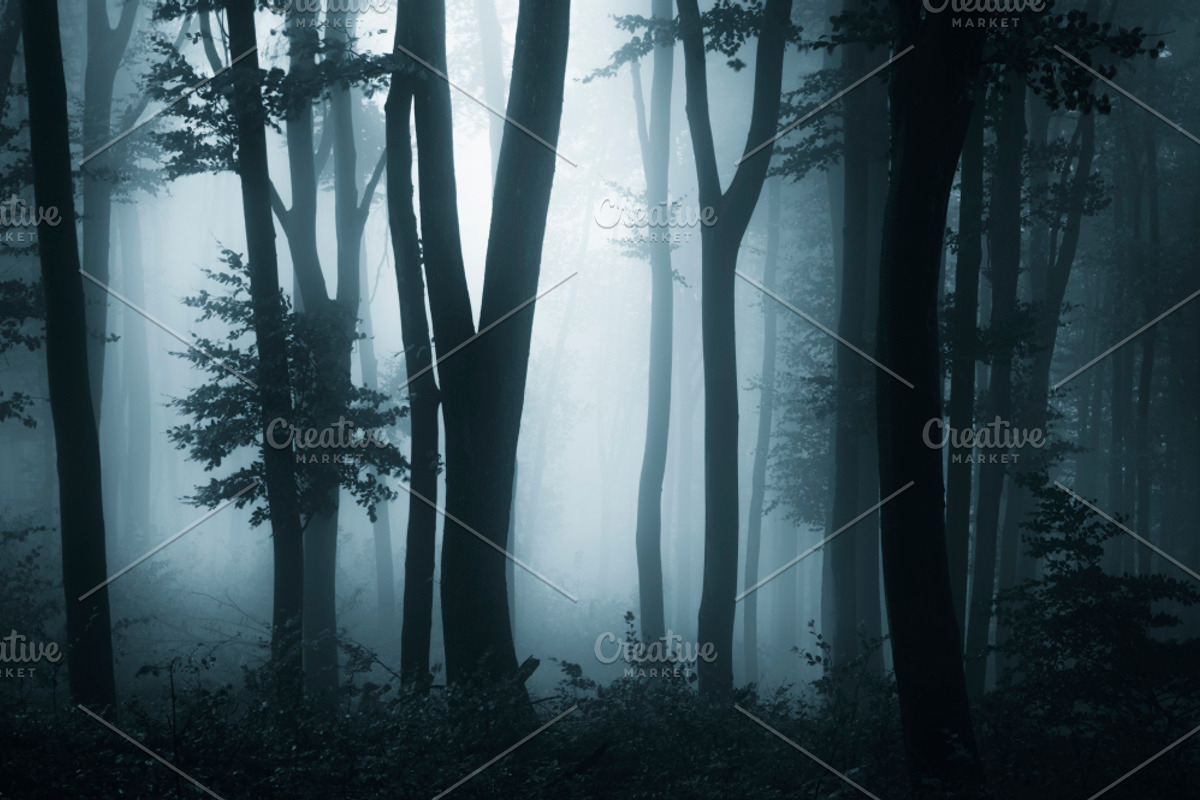 Haunted Halloween Forest Pack 2, a Nature Photo by Atmospheric visuals (Photo 3 of 6)