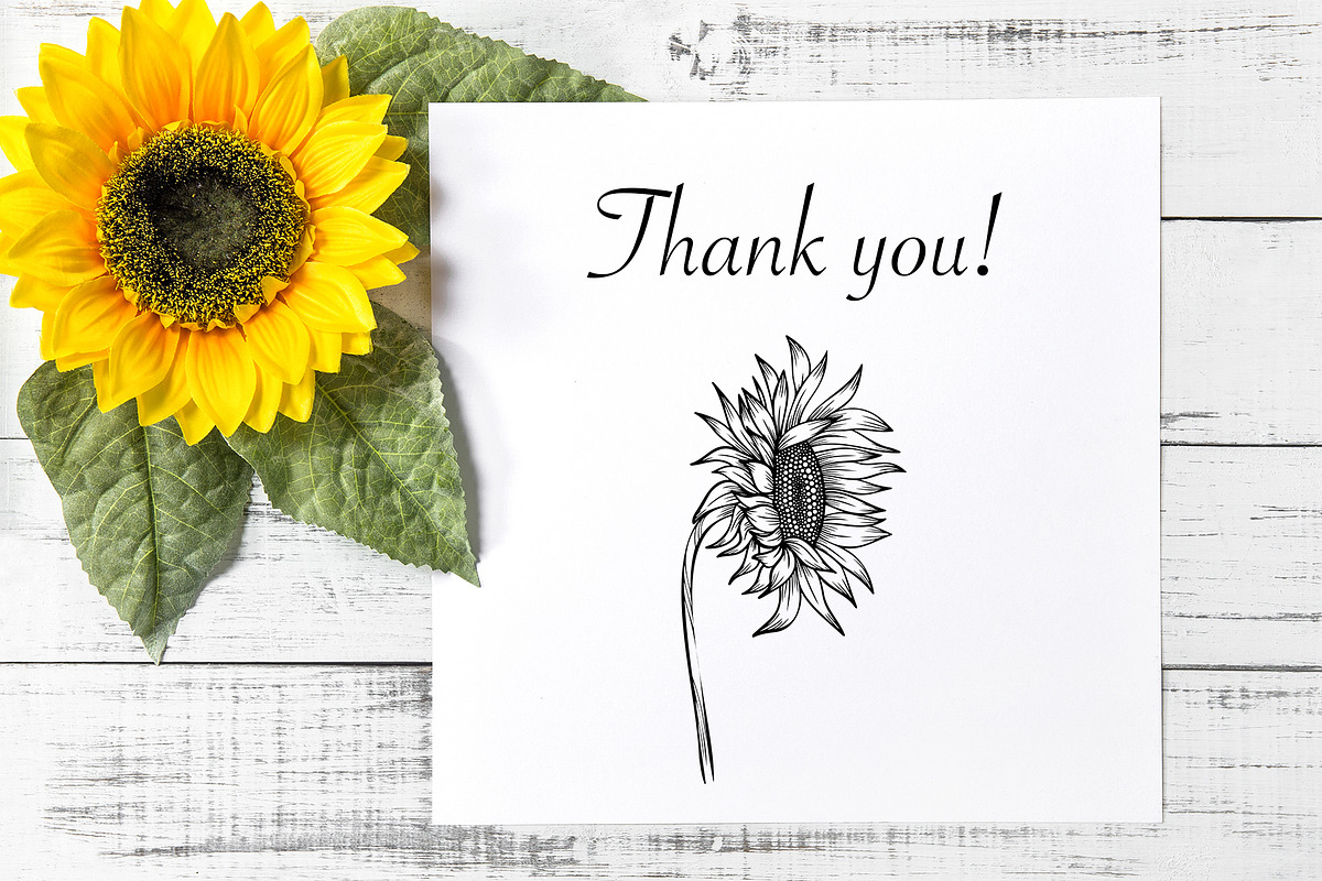 Sunflowers set SVG, an Object Graphic by mArtstore (Photo 6 of 6)