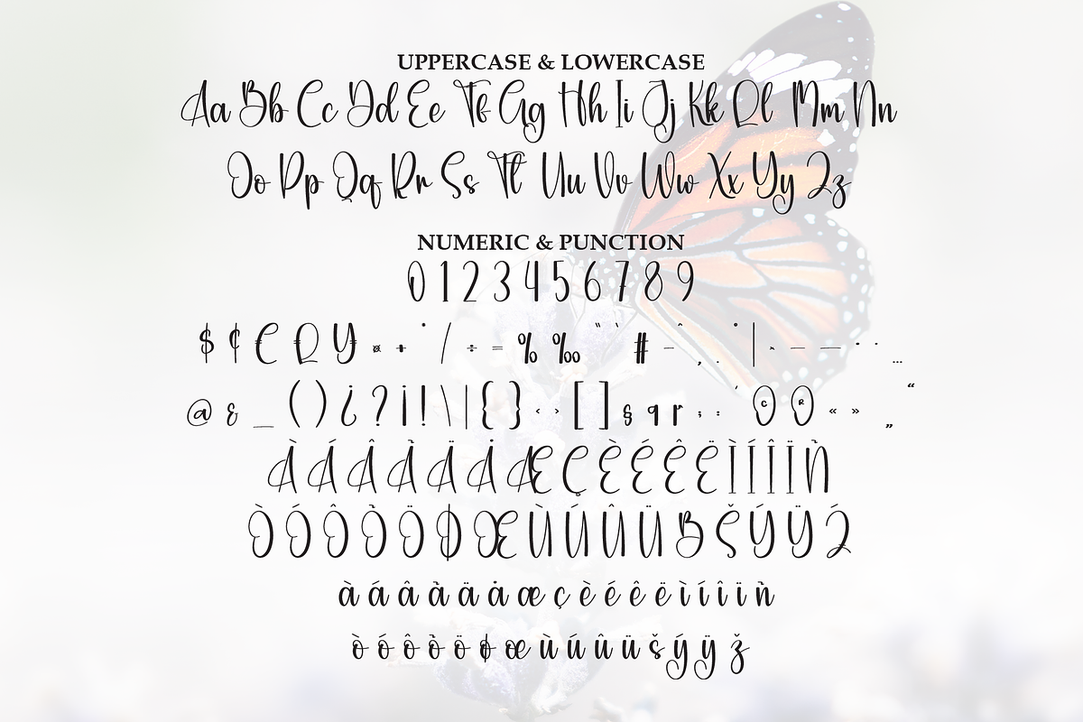 Butterfly | Script Font, a Handwritten Font by Scratchones (Photo 7 of 8)