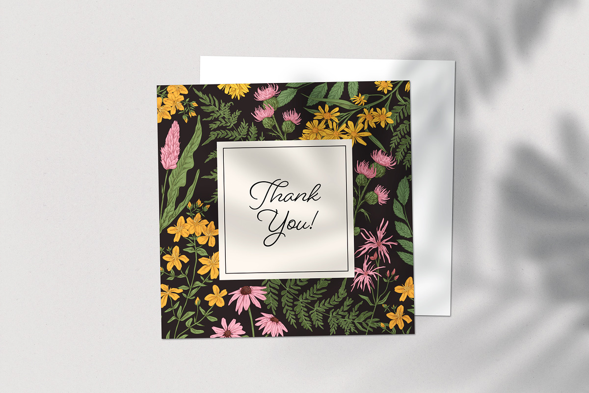 Wild flowers and herbs backgrounds, a Decorative Illustration by Good Studio (Photo 5 of 5)