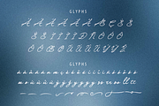 Boogenville #02, a Script Font by GlottaTypeface (Thumbnail 7 of 8)
