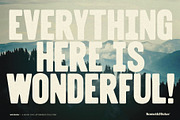 The Wood Type Font Bundle, a Font by Komet & Flicker (Thumbnail 11 of 13)