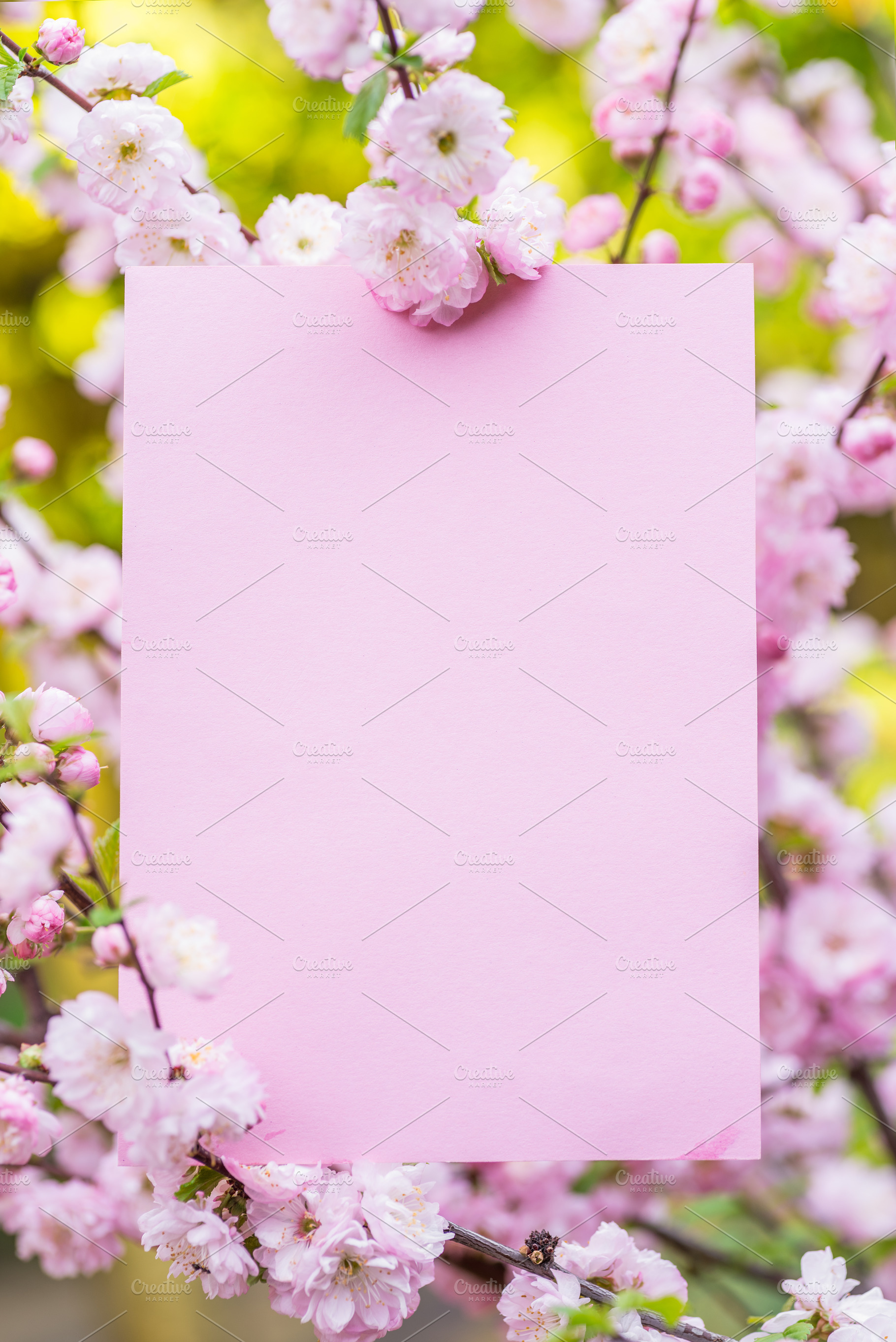 Paper blank between flowering almond, a Nature Photo by Volff
